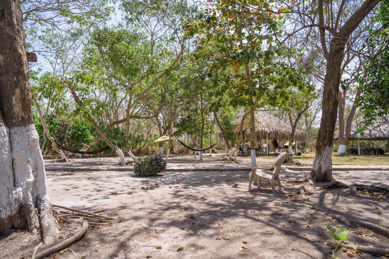 Eco Hotel Bosque Encantado إيسلا غراندي المظهر الخارجي الصورة