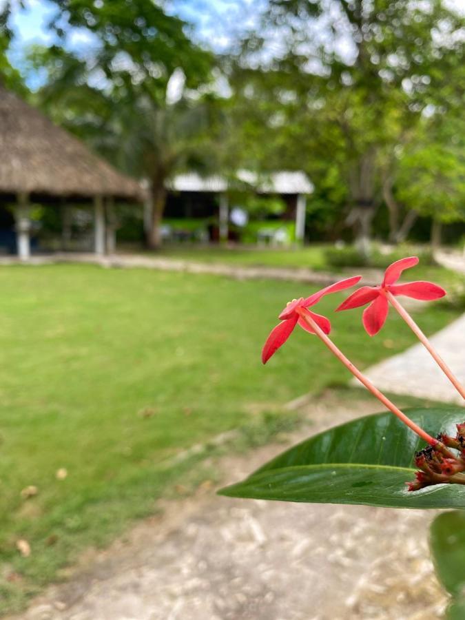 Eco Hotel Bosque Encantado إيسلا غراندي المظهر الخارجي الصورة