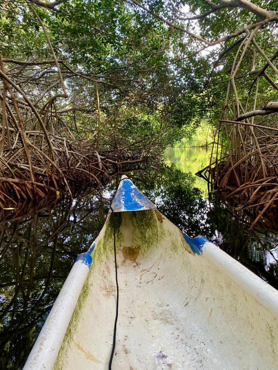 Eco Hotel Bosque Encantado إيسلا غراندي المظهر الخارجي الصورة