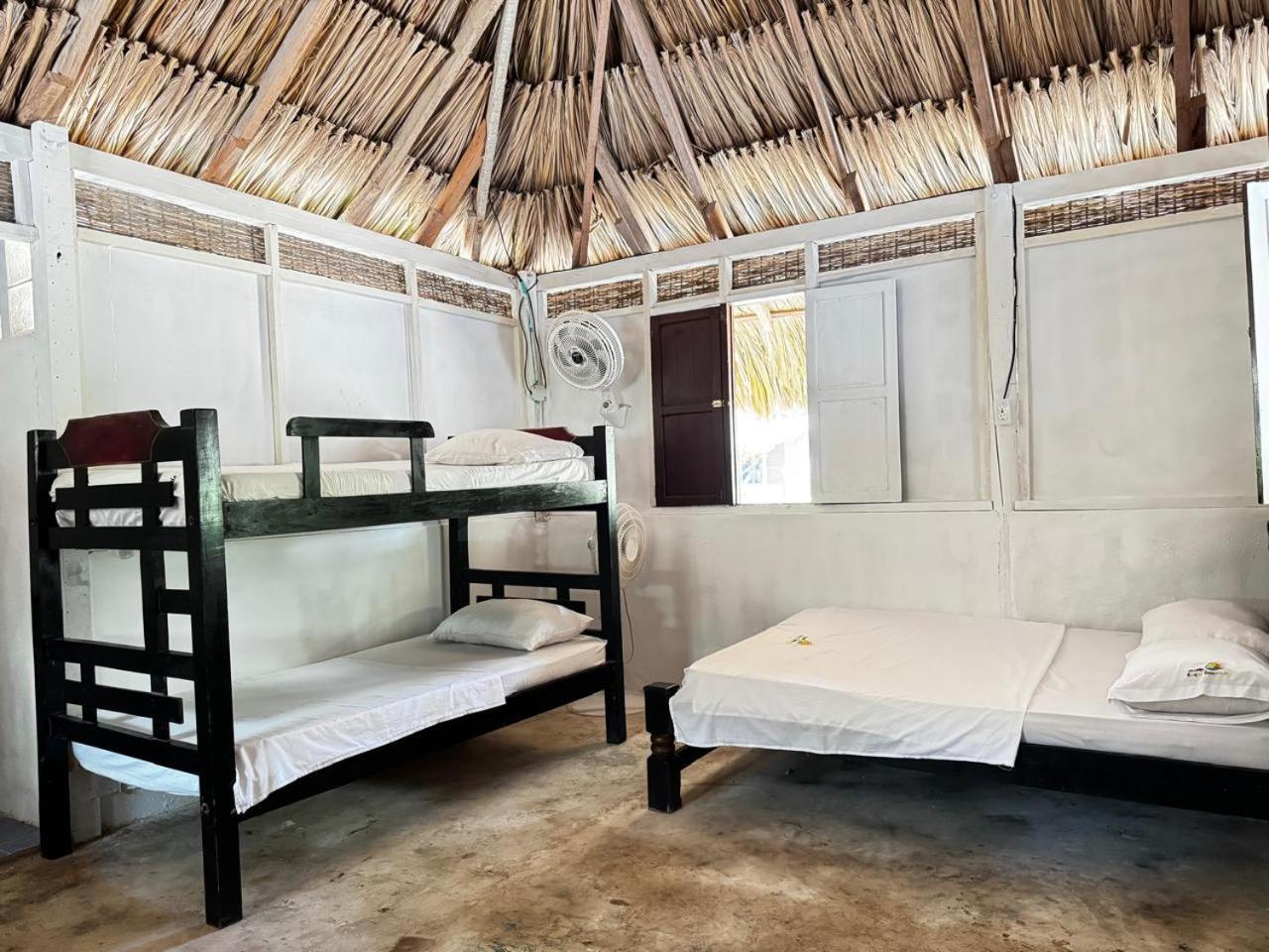 Eco Hotel Bosque Encantado إيسلا غراندي المظهر الخارجي الصورة