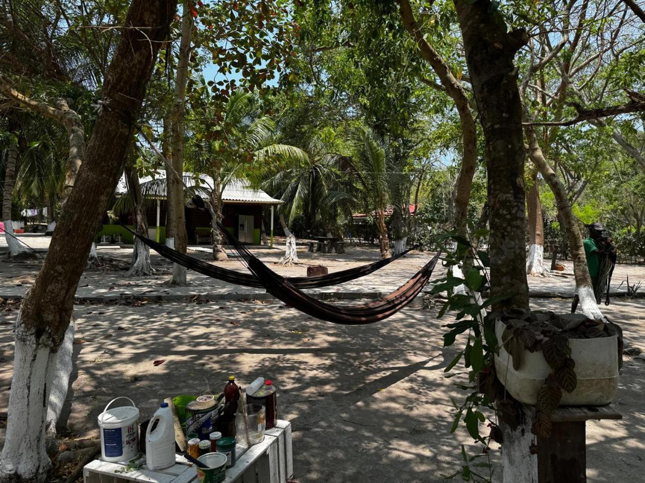 Eco Hotel Bosque Encantado إيسلا غراندي المظهر الخارجي الصورة